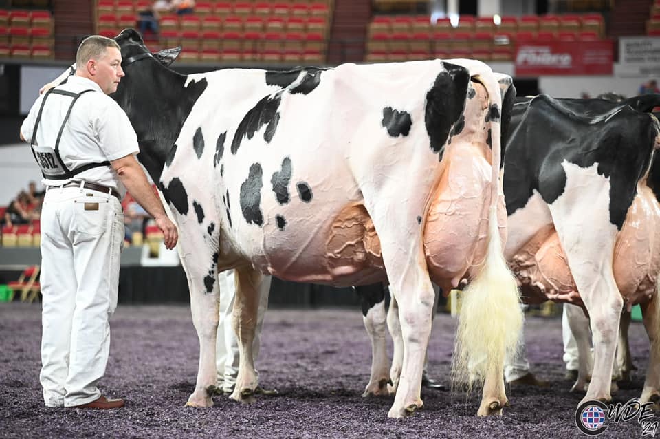 World Dairy Expo Supreme Champions 2025 Ruthi Imogene