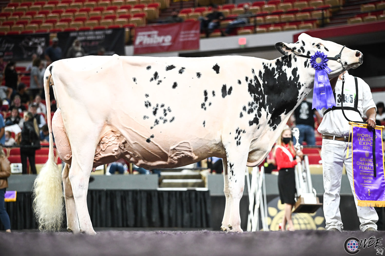 Erbacres Snapple Shakira wins Grand Champion WORLD DAIRY EXPO