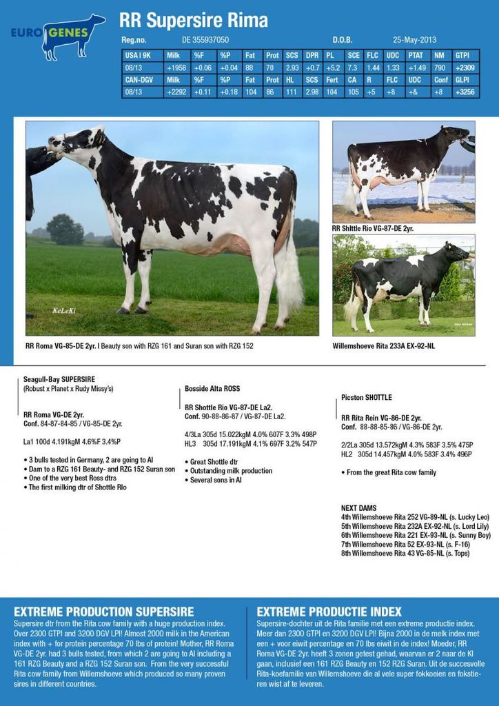 http://www.eurogenes.com/assets/ckfinder/images/RR%20Supersire%20Rima.jpg