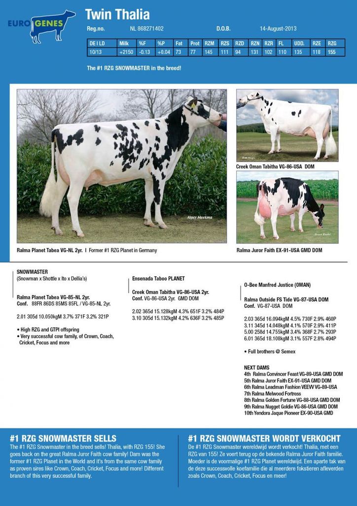 http://www.eurogenes.com/assets/ckfinder/images/Twin%20Thalia%20(Snowmaster).jpg